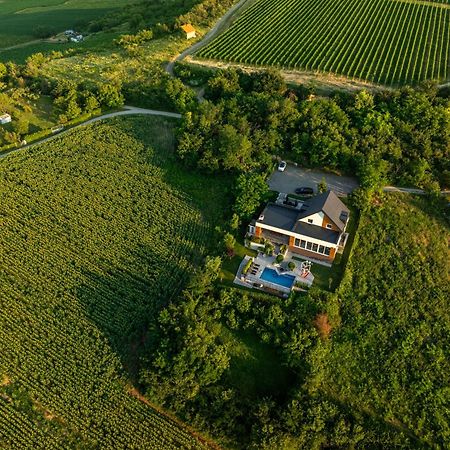 Riverside Pool Villa-Sremski Karlovci Zewnętrze zdjęcie