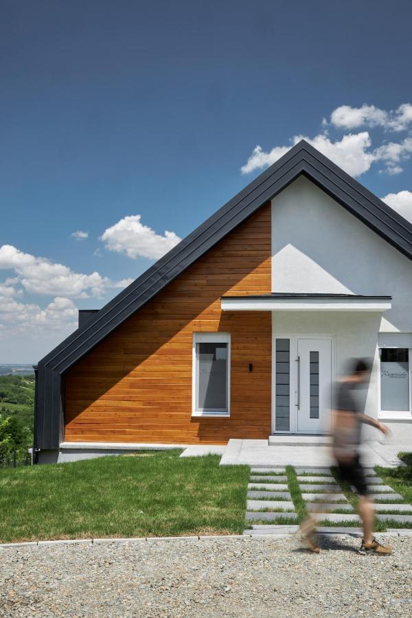 Riverside Pool Villa-Sremski Karlovci Zewnętrze zdjęcie