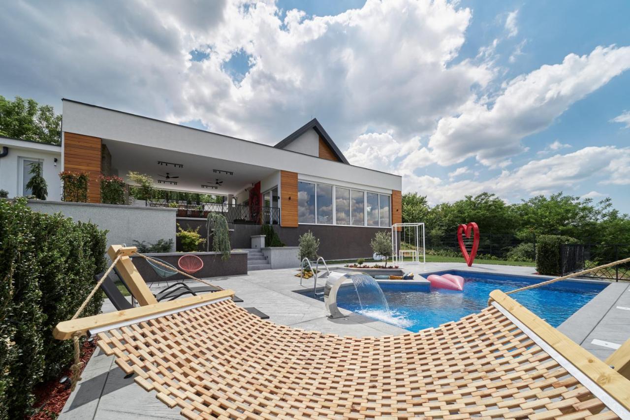 Riverside Pool Villa-Sremski Karlovci Zewnętrze zdjęcie