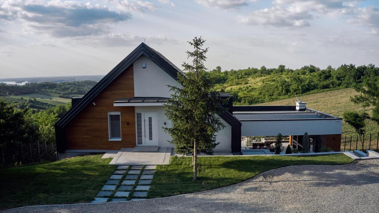 Riverside Pool Villa-Sremski Karlovci Zewnętrze zdjęcie