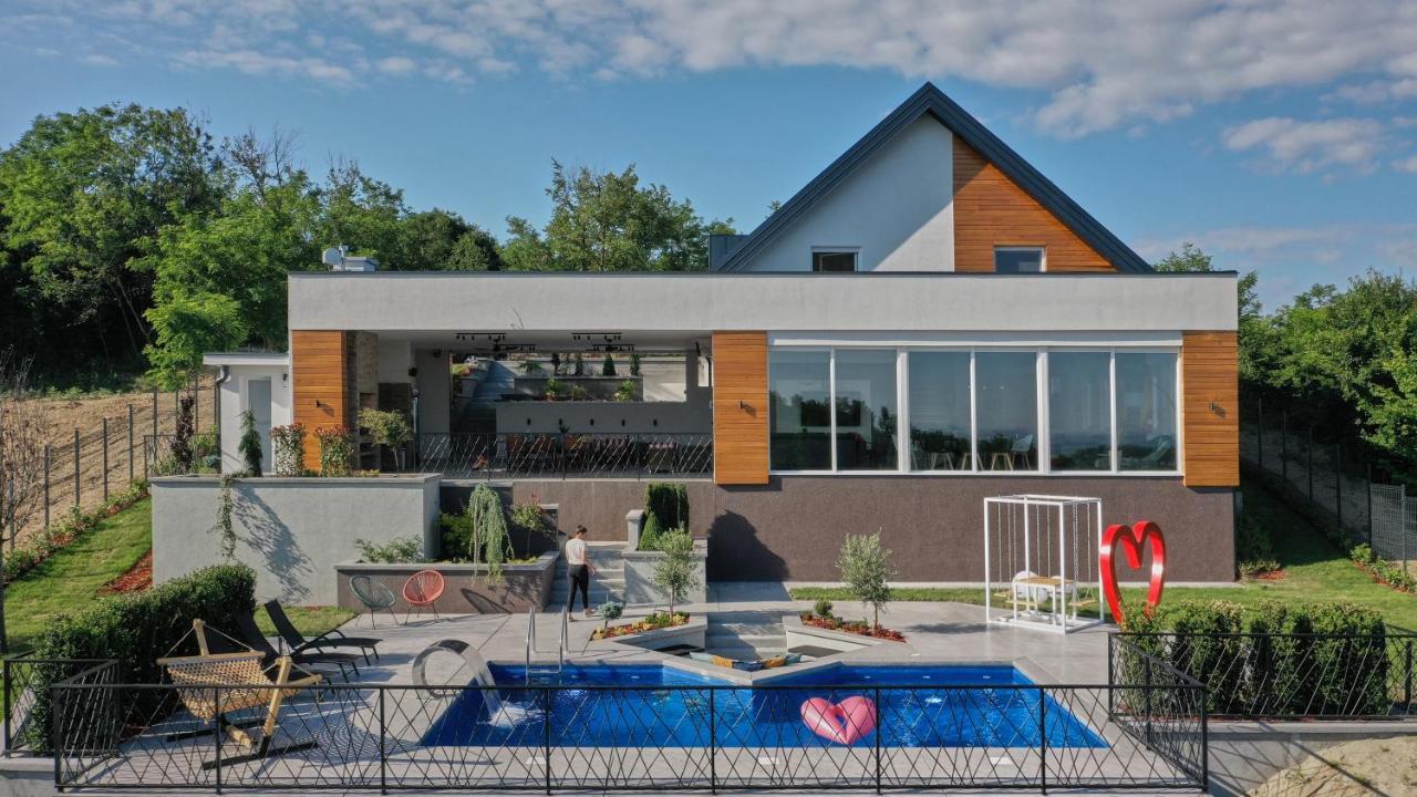 Riverside Pool Villa-Sremski Karlovci Zewnętrze zdjęcie