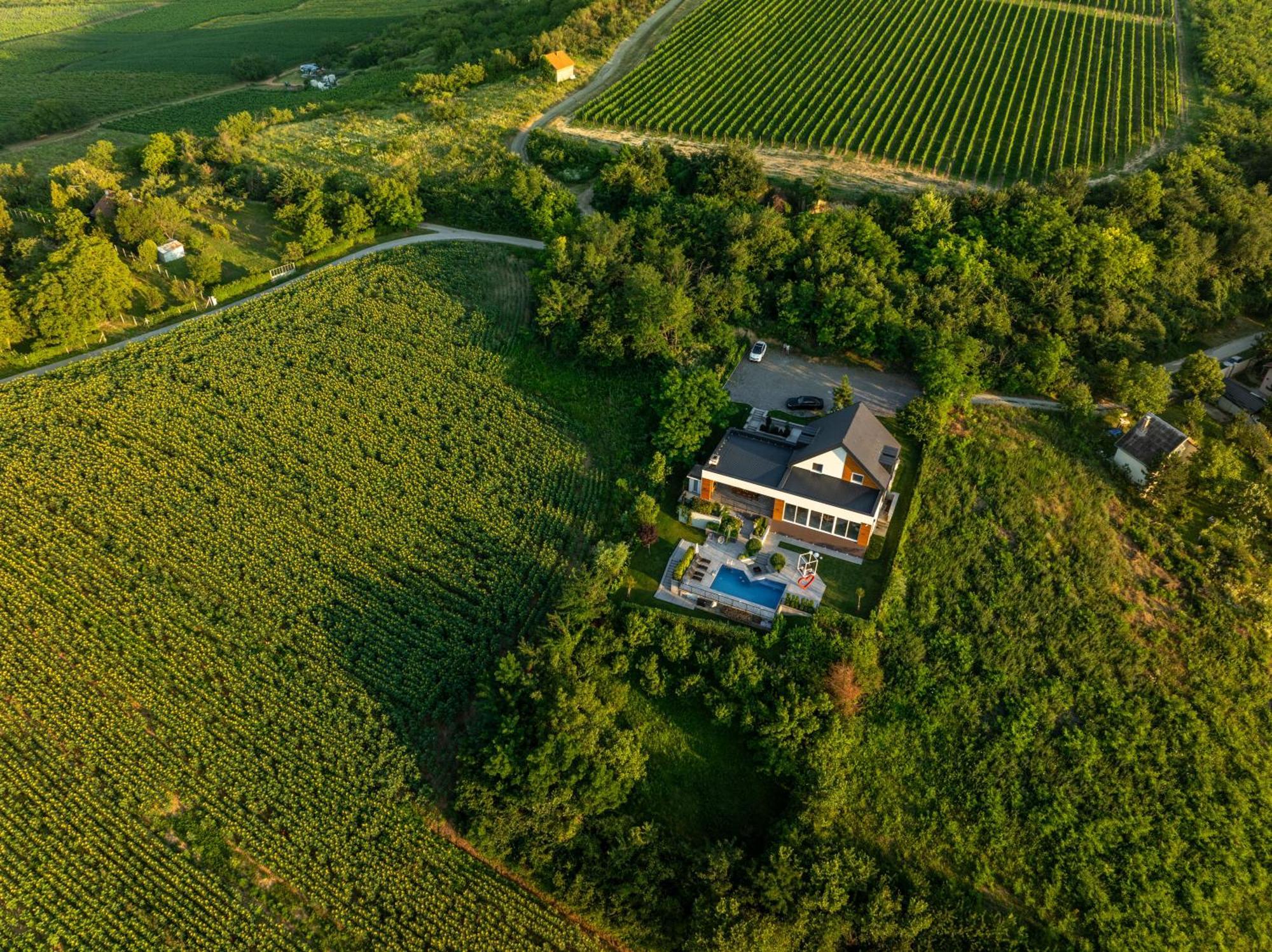 Riverside Pool Villa-Sremski Karlovci Zewnętrze zdjęcie